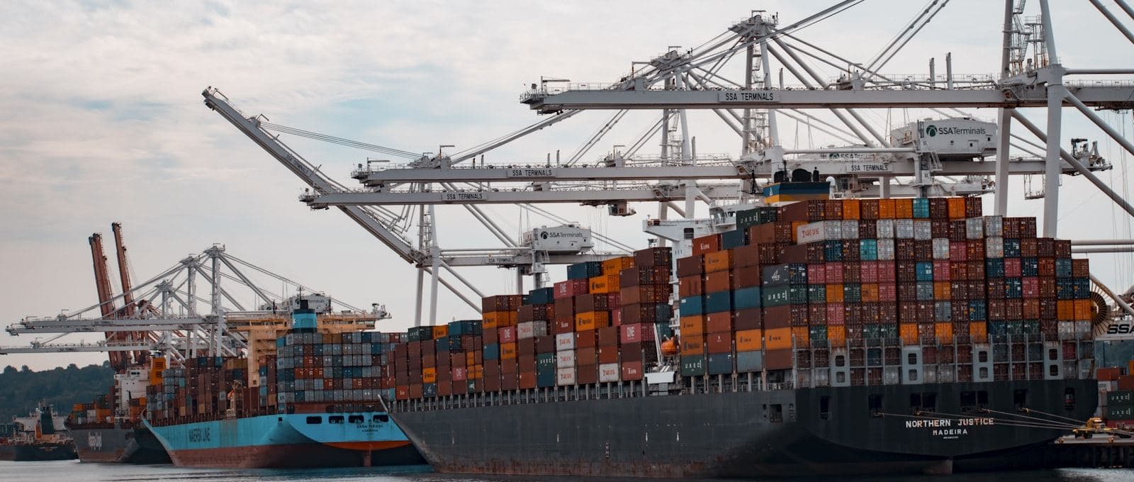Container ships being loaded under port cranes